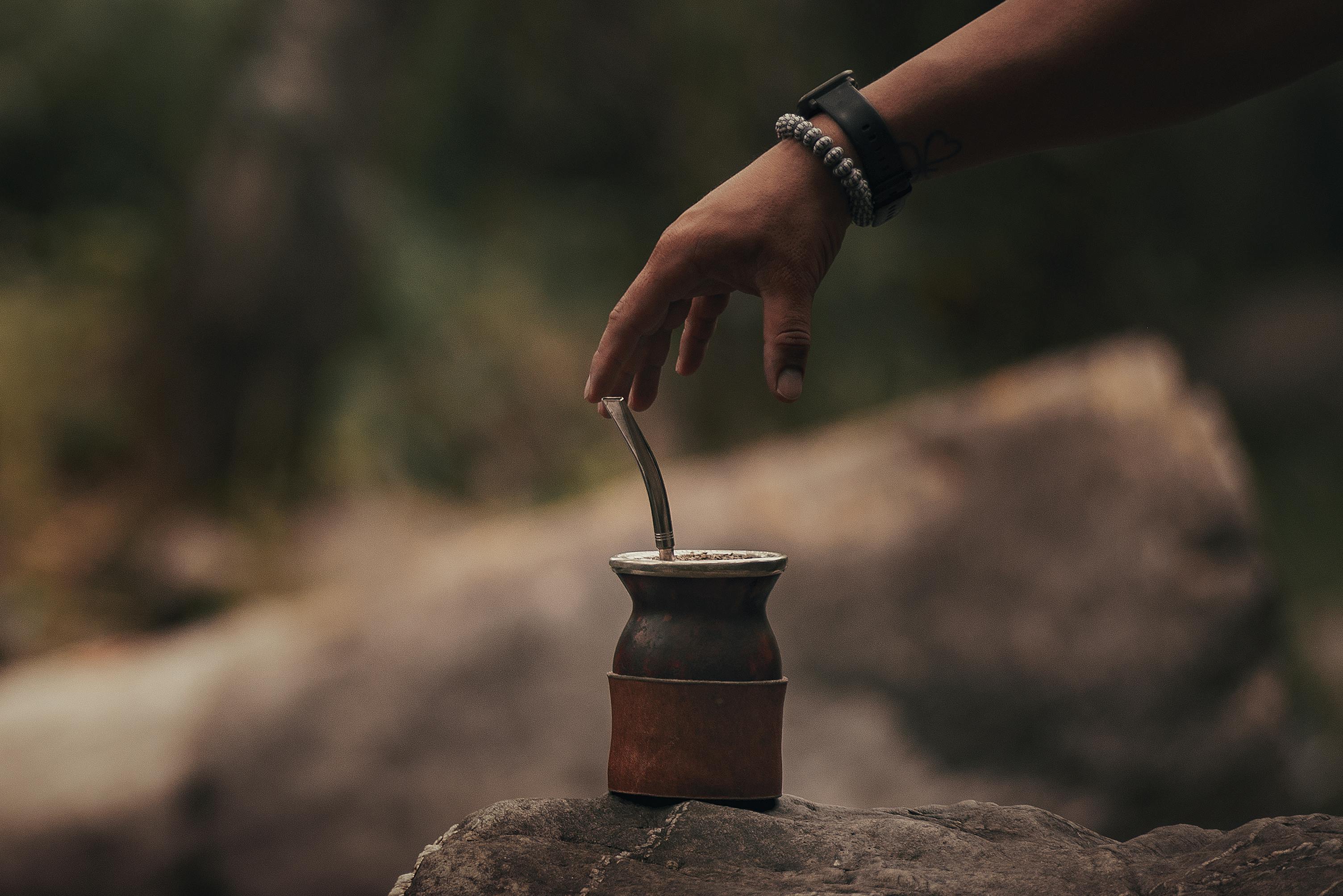 Authentic Yerba Mate Collection